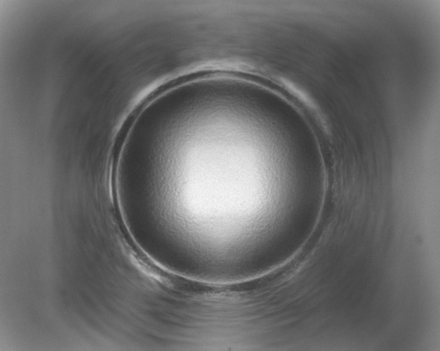 X0000079331272200611251822