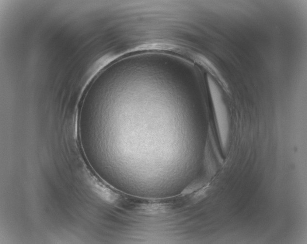 X0000079331276200611251822