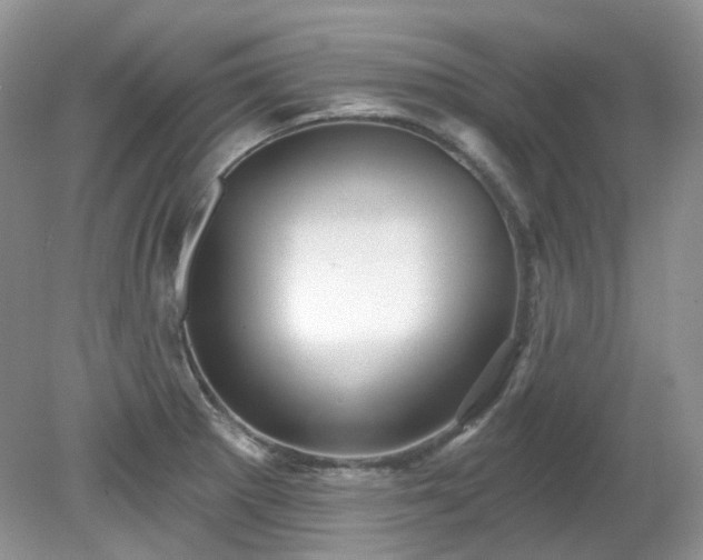 X0000079331281200611251821