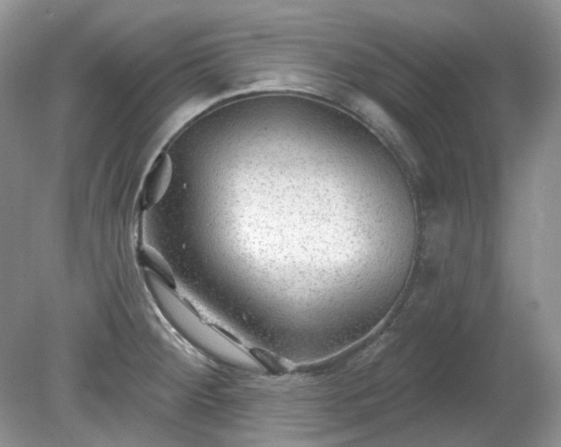 X0000079331284200611251821