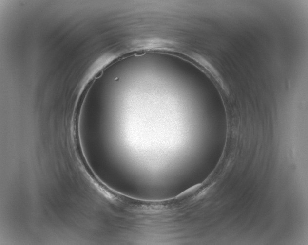 X0000079331285200611251821