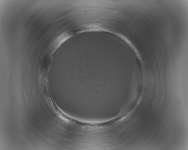 X0000079331289200611251821