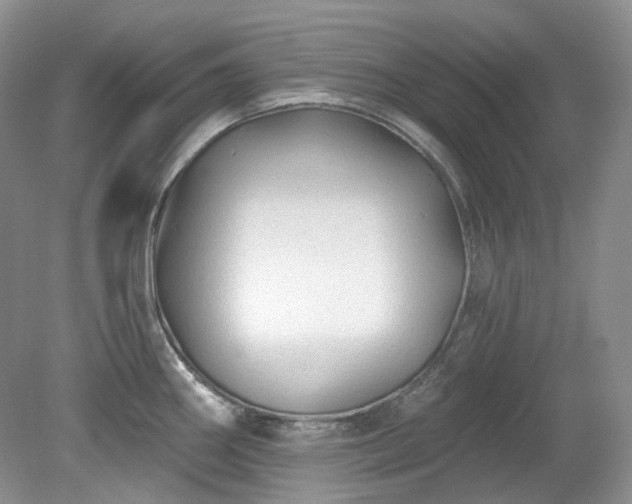 X0000079331290200611251821