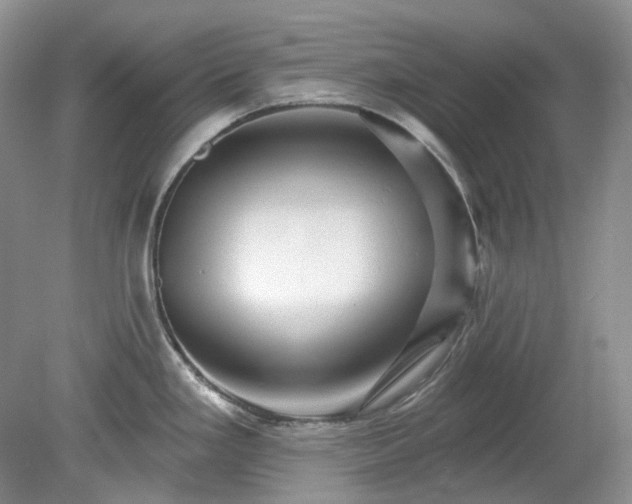 X0000079331293200611251821