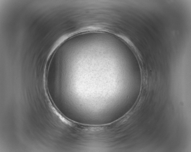 X0000079331294200611251821