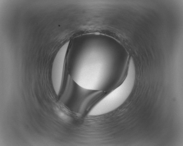 X0000079331300200611251820