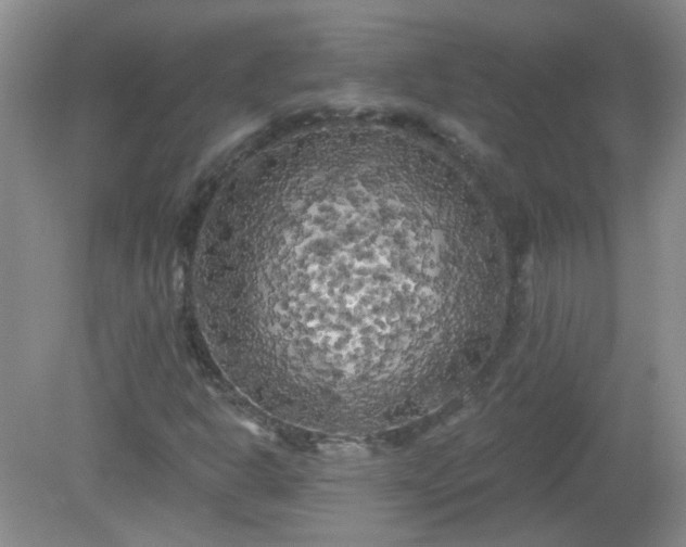 X0000079331302200611251820