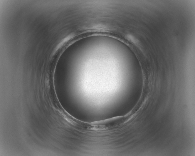 X0000079331307200611251821