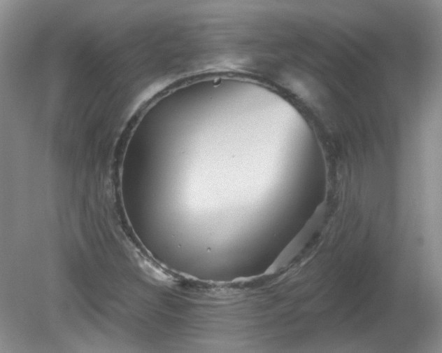 X0000079331308200611251821