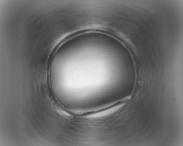 X0000079331316200611251821