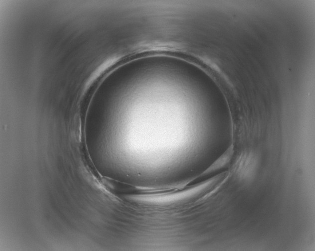 X0000079331317200611251821
