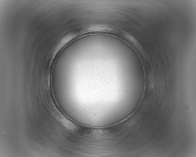 X0000079331322200611251821