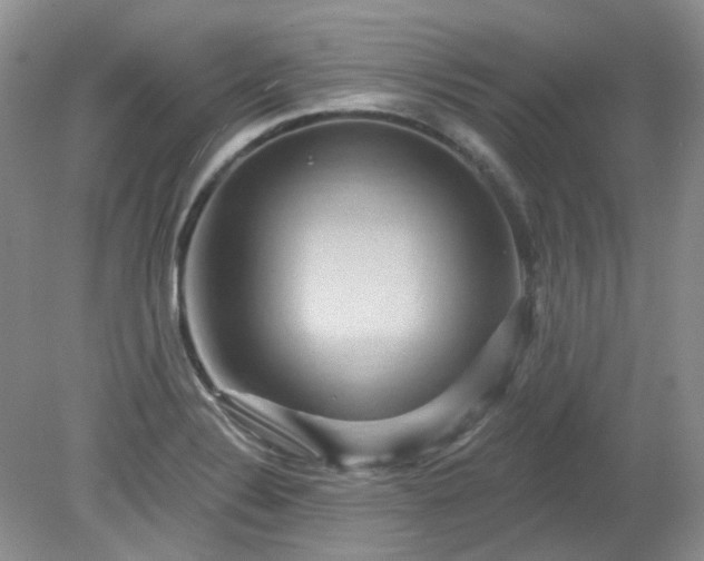 X0000079331324200611251821