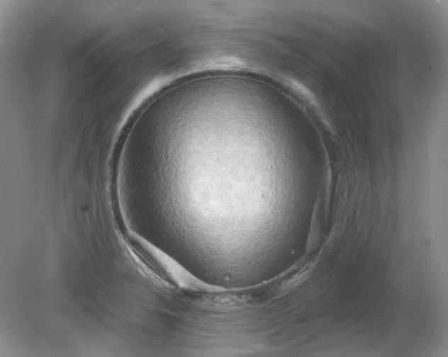 X0000079331326200611251821