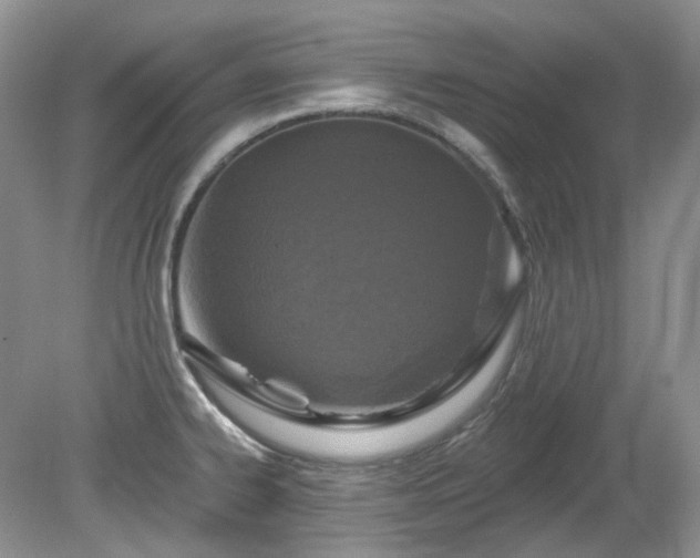 X0000079331334200611251821