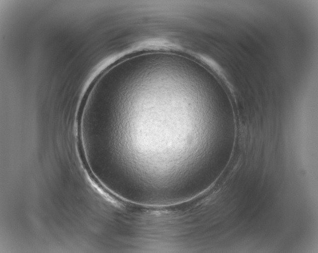 X0000079331335200611251821