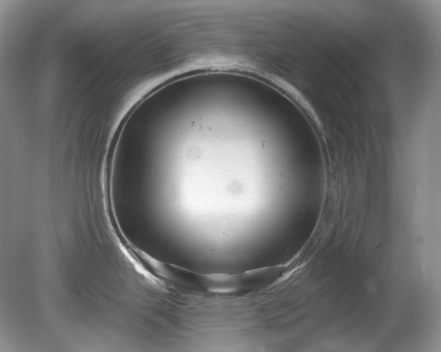 X0000079331343200611251821