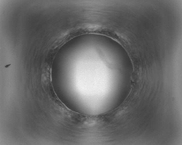 X0000079331349200611251820