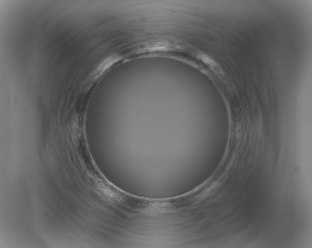 X0000079331353200611251820