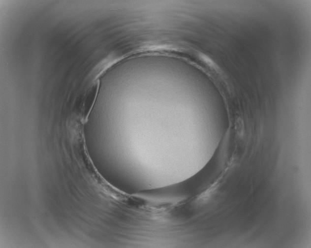 X0000079331361200611251820