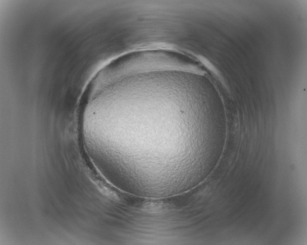 X0000079331364200611251820