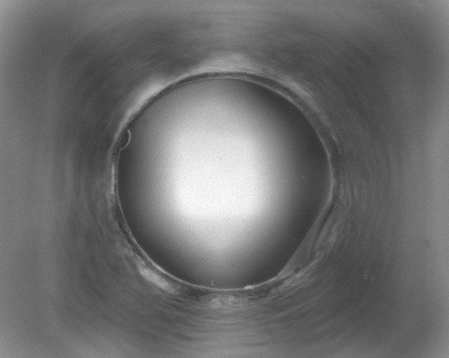 X0000079331366200611251820