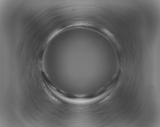 X0000079331369200611251820