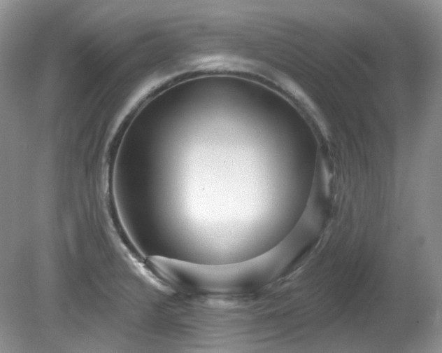 X0000079331376200611251820