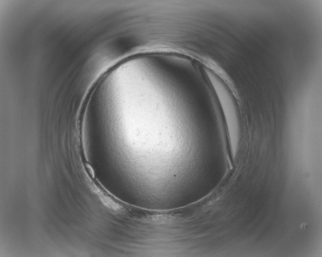 X0000079331380200611251820