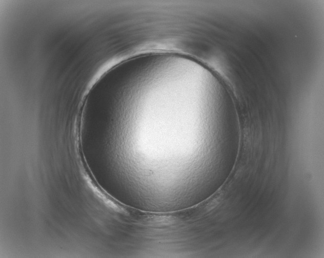 X0000079331382200611251820