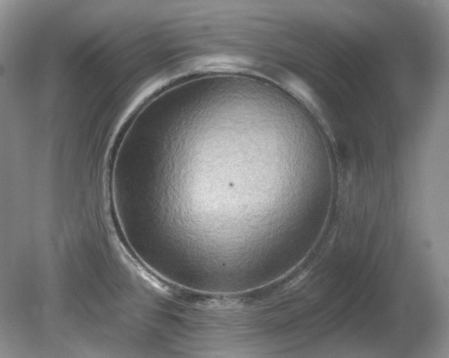 X0000079331384200611251820