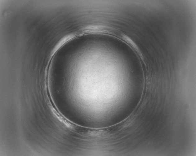 X0000079331386200611251820