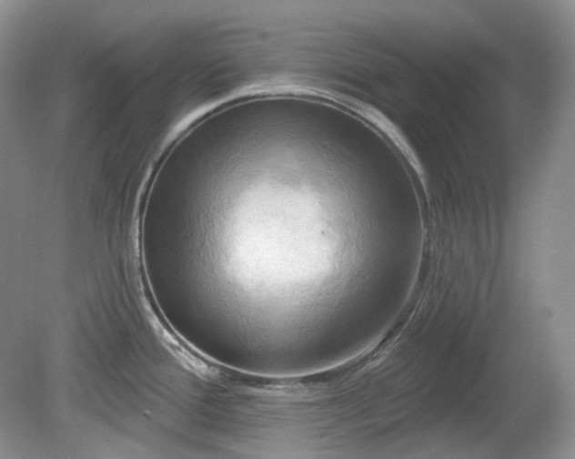 X0000079331388200611251820