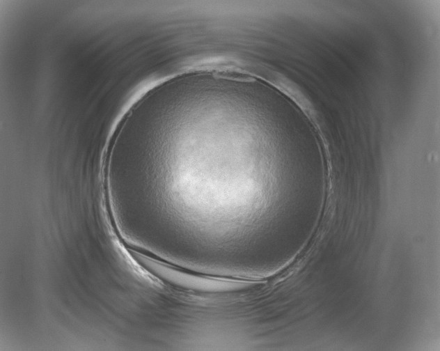X0000079331392200611251820