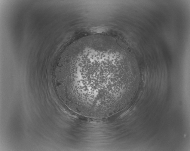 X0000079331393200611251819