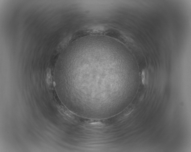 X0000079331395200611251819
