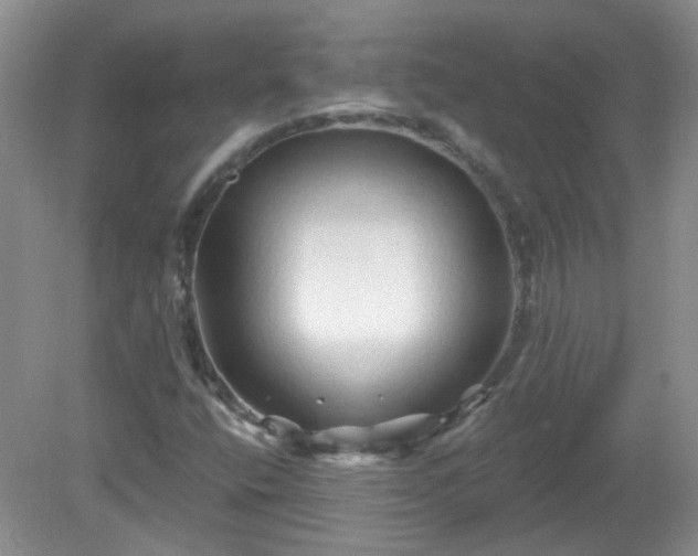 X0000079331400200611251819