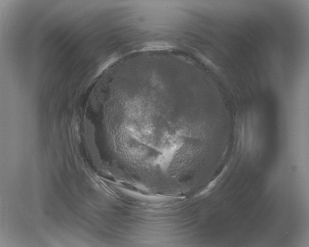 X0000079331401200611251819