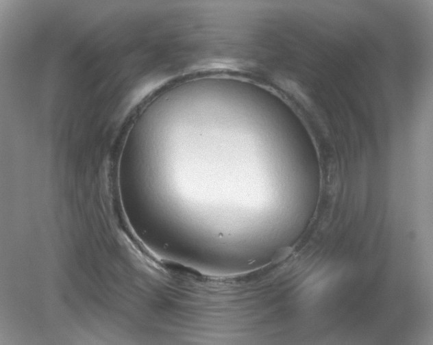 X0000079331404200611251819