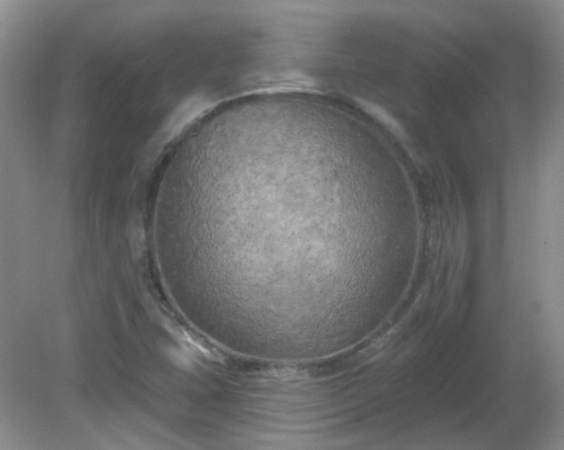 X0000079331407200611251819