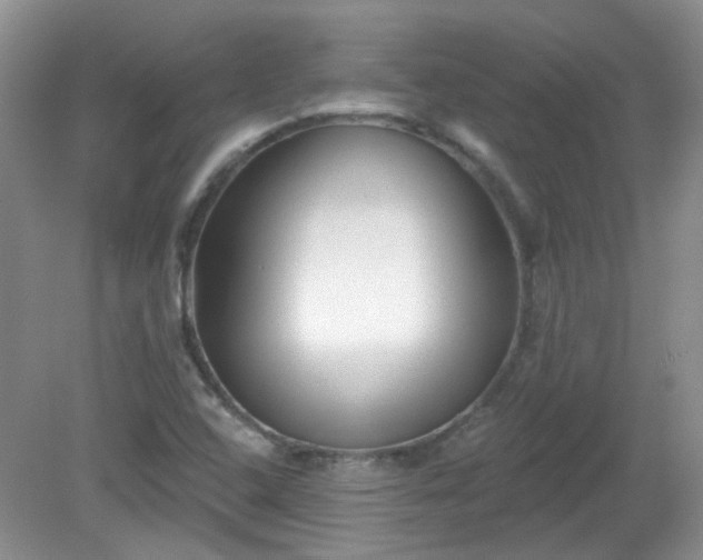 X0000079331408200611251819