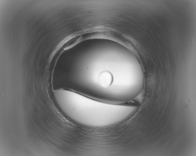 X0000079331410200611251819