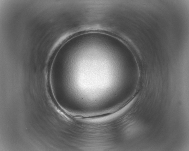 X0000079331416200611251819