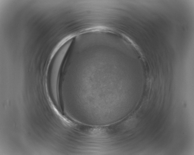X0000079331418200611251819