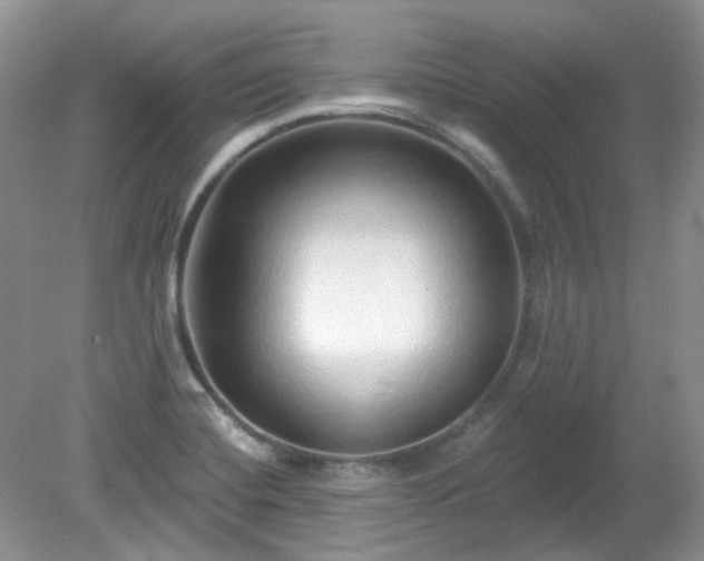 X0000079331420200611251819