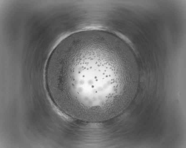 X0000079331423200611251819