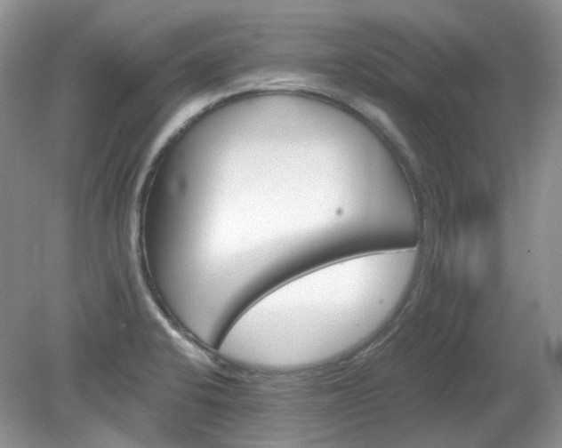 X0000079331424200611251819