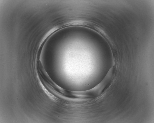 X0000079331426200611251819