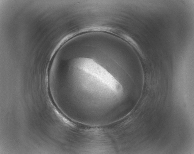 X0000079331428200611251819