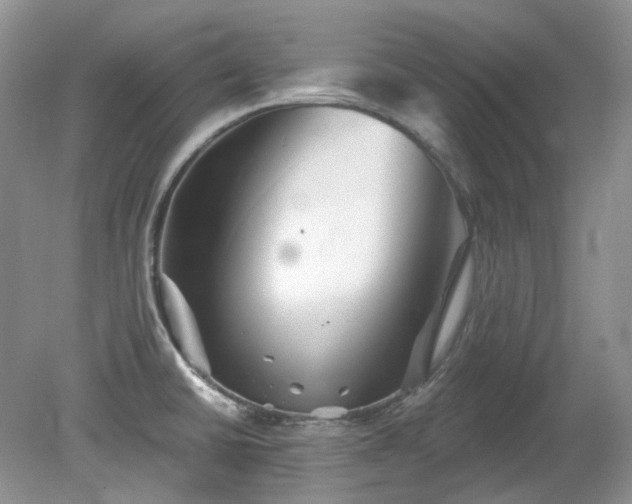 X0000079331430200611251819